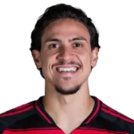 Photo of Pedro Guilherme Abreu dos Santos