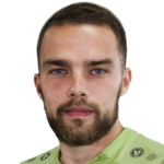Photo of N. Goldobin