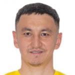 Photo of N. Salaydin