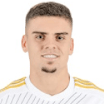 Photo of Gabriel Fortes Chaves