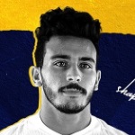 Photo of Mahmoud Shabrawy