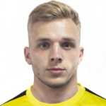 Photo of N. Yavorskiy