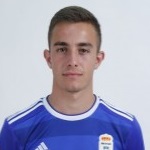 Photo of Joselu Guerra