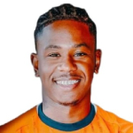 Photo of Emerson Mineiro