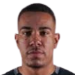 Photo of Hugo Henrique Nogueira de Souza