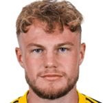 Photo of P. Fahrner