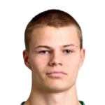 Photo of D. Ingvarsson