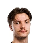 Photo of L. Väyrynen