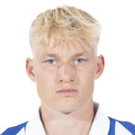 Photo of N. De Ridder