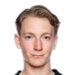 Photo of Hugo Emil Aviander