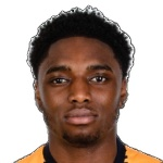 Photo of David Ogbonna