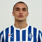 Photo of N. Vukajlović