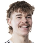 Photo of A. Heinonen