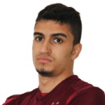 Photo of Passarelli