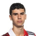Photo of S. van Persie
