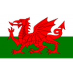 Wales U19 club crest