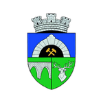 Anenii Noi W club crest