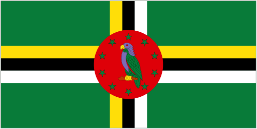 Dominica U20 club crest