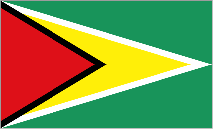 Guyana U20 club crest
