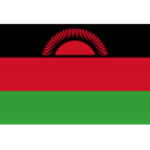 Malawi U20 club crest