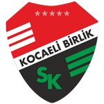 Körfez Spor club crest