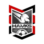 Holland Park Hawks club crest