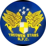 Treowen Stars club crest