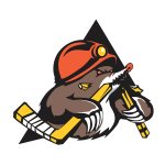 Shakhtyor Res. club crest