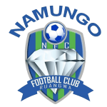 Namungo club crest