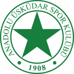 Anadolu Üsküdar club crest