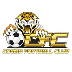 Cooma Tigers FC club crest