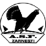 Olimpic Zărneşti club crest