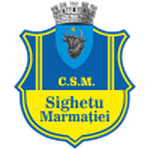 Sighetu Marmaţiei club crest