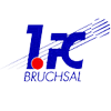 Bruchsal club crest