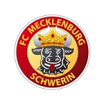 Mecklenburg Schwerin club crest