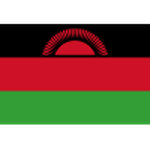 Malawi club crest