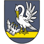 Slovan Brvnište club crest