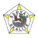 Slovan Skalité club crest