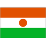 Niger club crest