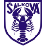 Šalková club crest