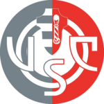 Cremonese U19 club crest