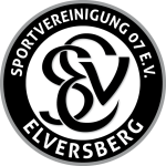 Elversberg U19 club crest