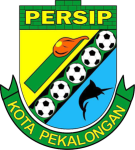 Persip Pekalongan club crest