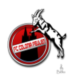 Feulen club crest