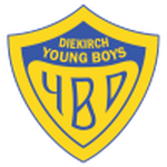 Young Boys club crest