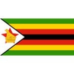 Zimbabwe U20 club crest