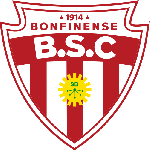 Botafogo BA club crest