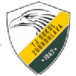 Sokol Zubrohlava club crest