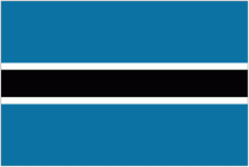 Botswana W club crest