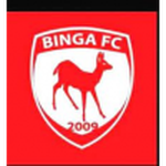 Binga club crest